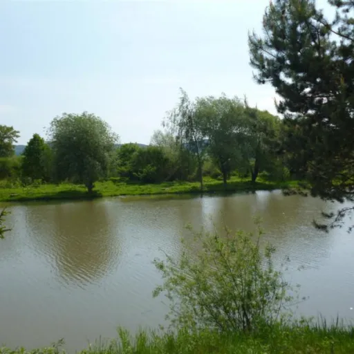 Ilustračný obrázok