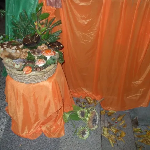Fotogaléria