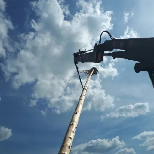 Ilustračný obrázok