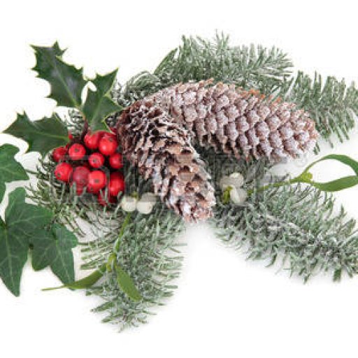 30824745-christmas-floral-decoration-with-holly-ivy-pine-cones-mistletoe-and-fir-leaf-sprigs-over-white-backg