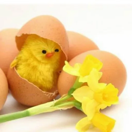 Ilustračný obrázok